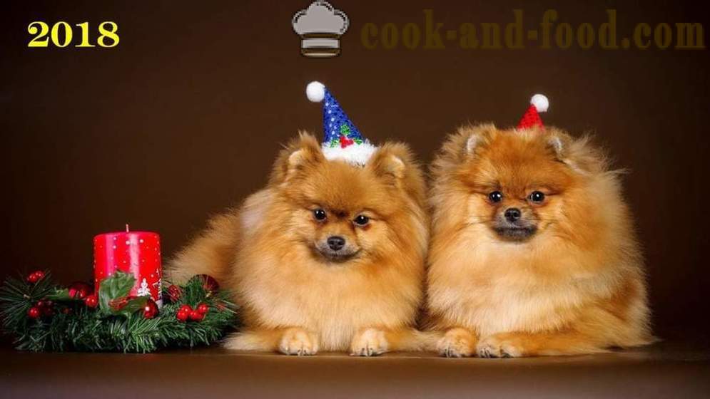 Vapaa joulua Taustakuva 2018 koiria, koiria ja pentuja - lataa taustakuvia työpöydällesi ilmaiseksi