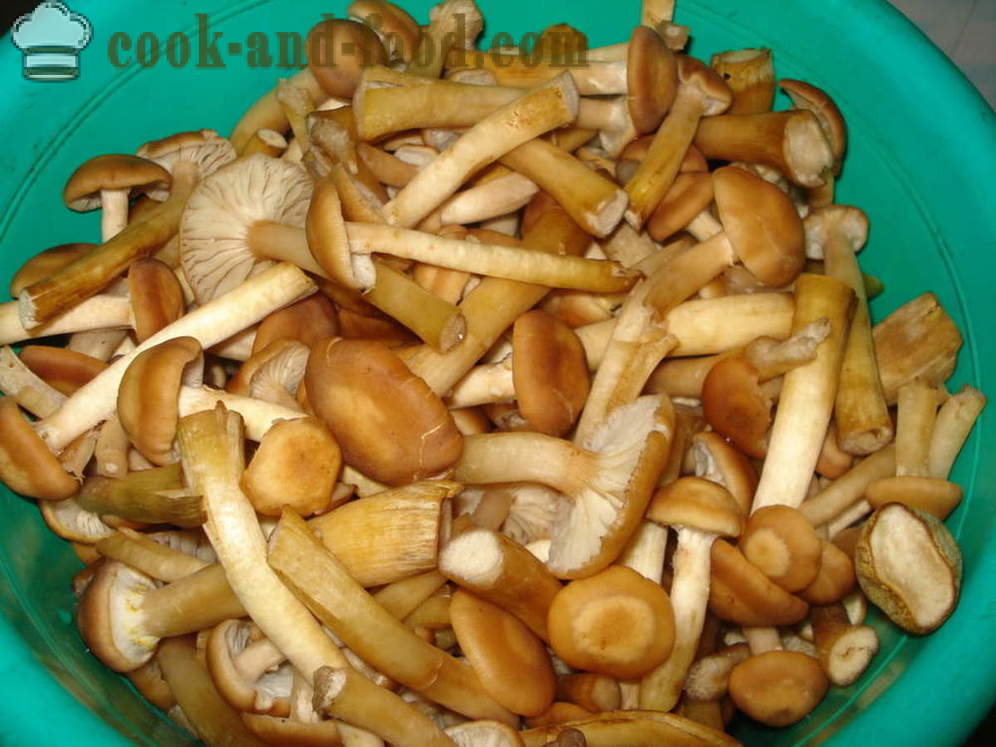 Sienirihmasto - miten ruokaa sienirihmasto keitettyä sieniä, askel askeleelta resepti kuvat