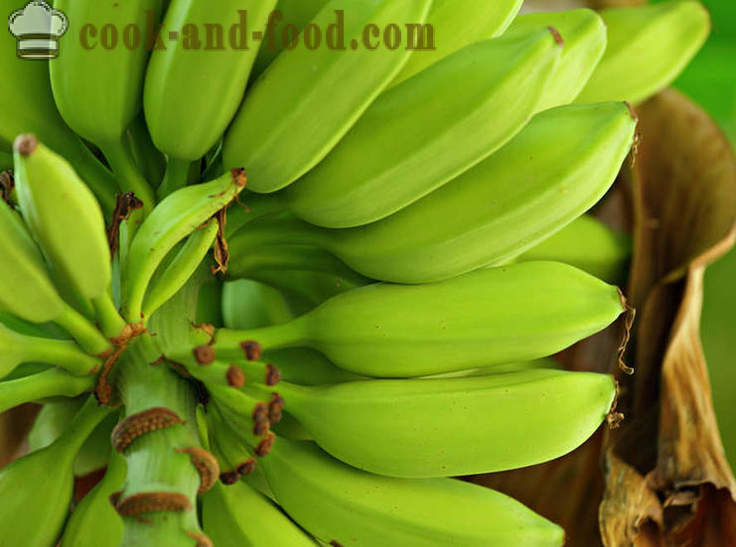 Banaani: Afrikkalainen ja Aasian jälkiruoka keitto - video reseptejä kotona