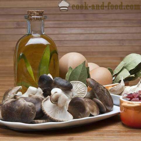 Ruokalajit sieniä: kolme yksinkertaista resepti - video reseptejä kotona