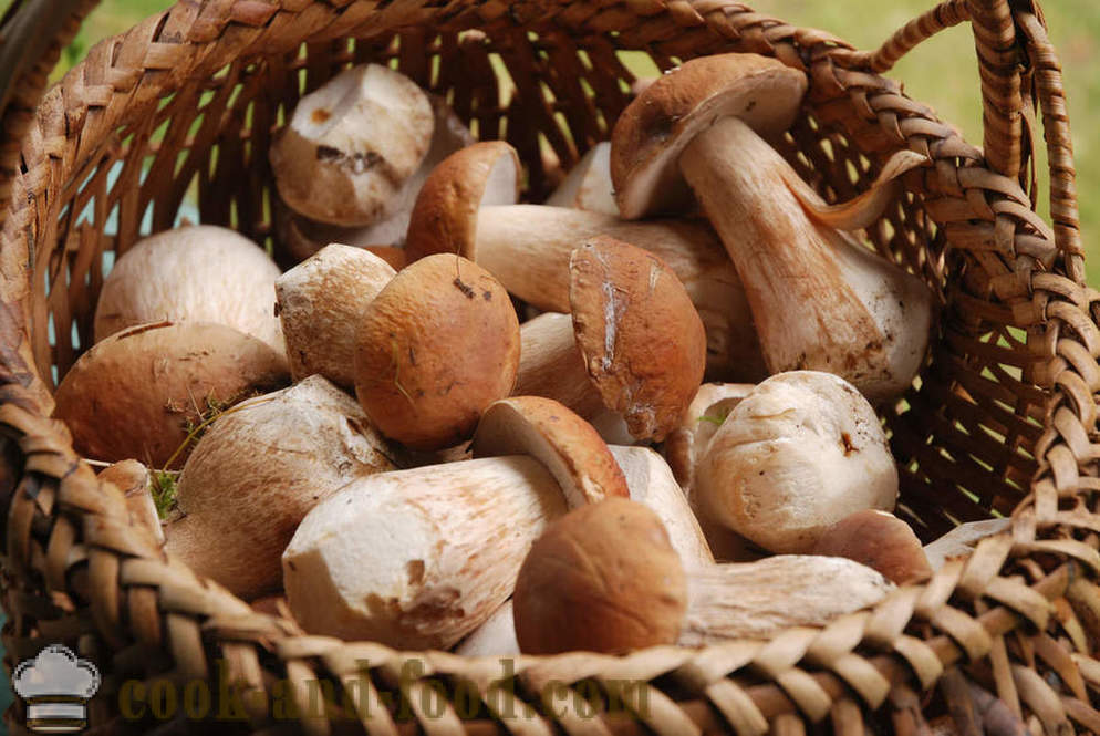 Kausi sieniä: 5 reseptejä Jamie Oliverin lehden - video reseptejä kotona